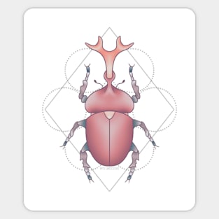 Beetle appreciation club Sticker